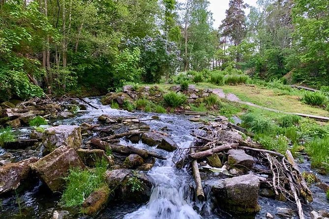 Evening Hike in Tyresta National Park - Customer Feedback