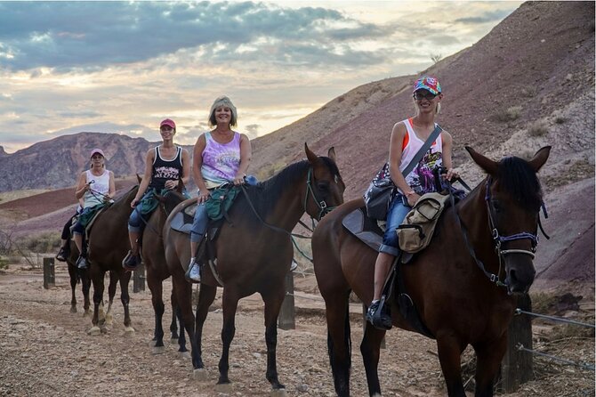 Evening Horseback Ride in Las Vegas - Customer Reviews and Ratings