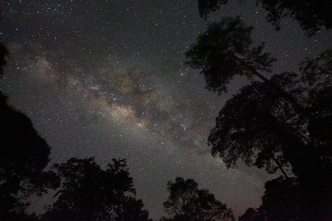 Evening Rainforest & Glow Worm Experience - Small Group Tour - Customer Feedback