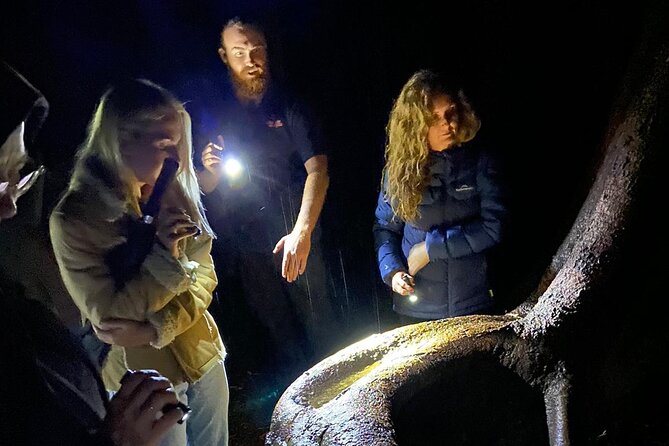 Evening Rainforest & Glow Worm Experience - Small Group Tour - Guided Rainforest Walk