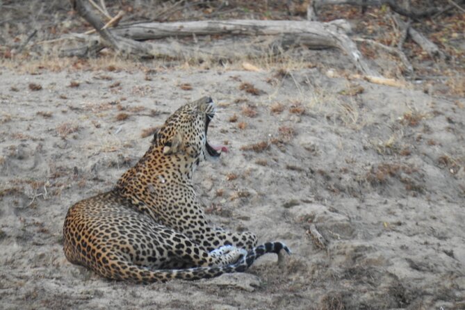 Evening Safari - Yala National Park With Janaka Safari - 02.00 Pm to 06.30 Pm - Luxury and Comfort on the Safari
