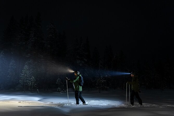 Evening Ski Trek to the Wilderness - Extra Small Group - Meeting and Pickup