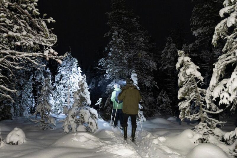 Evening Ski Trek to the Wilderness - Extra Small Group - Who Its Suitable For