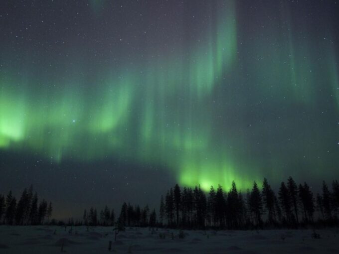Evening Ski Trek to the Wilderness - Extra Small Group - Customer Feedback