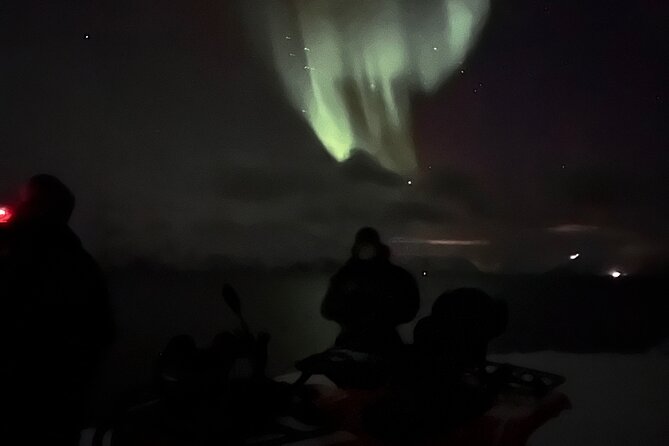 Evening Tour and Aurora Borealis Sightseeing in Norway by ATV - Reviews and Feedback