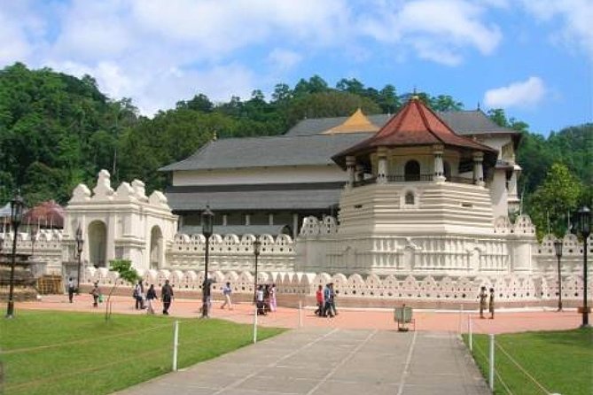 Evening Tour at the Last Kingdom of Sri Lanka, Kandy - Reviews and Ratings