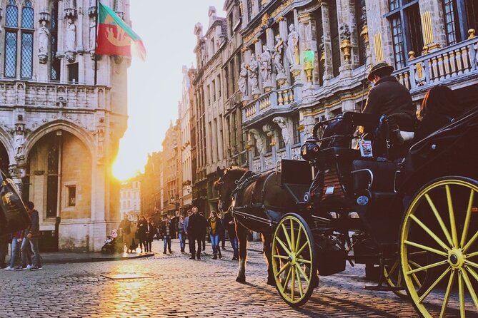 Evening Tour: The Dark Side of Brussels - Tour Inclusions