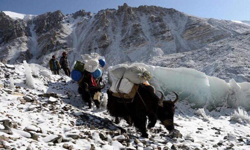 Everest Advanced Base Camp: The Thrill of High Altitude Trek - Inclusions and Additional Costs
