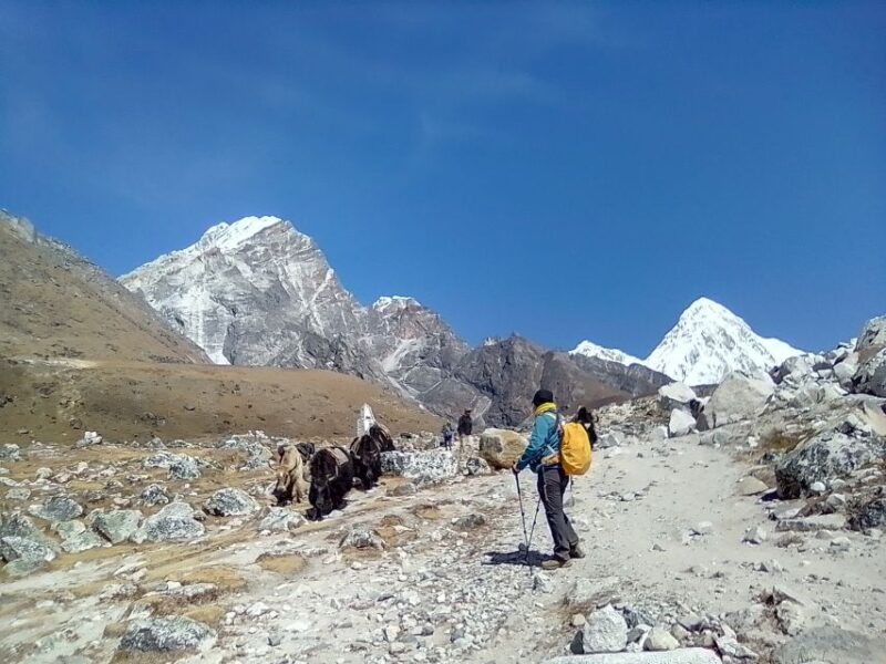 Everest Base Camp: 12-DAY Trek From Kathmandu - Itinerary Highlights