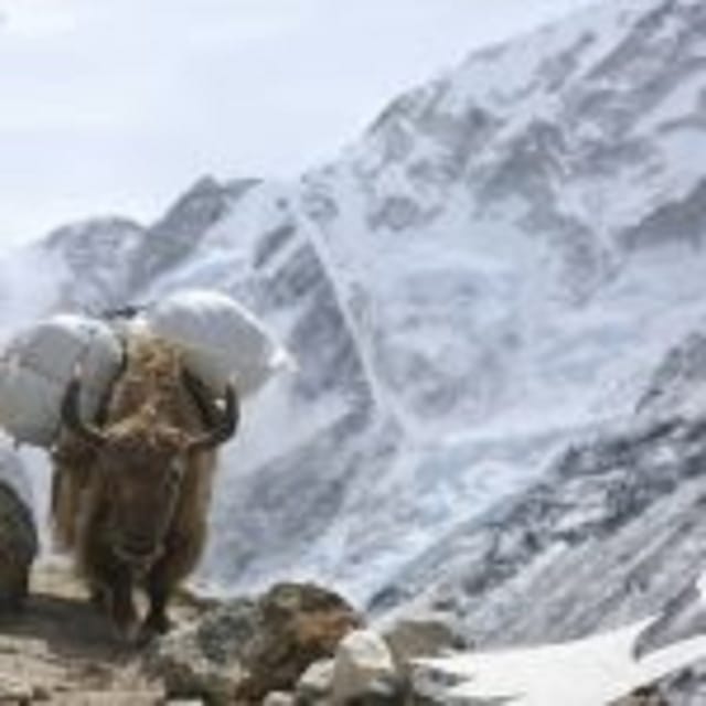 Everest Base Camp - Key Points