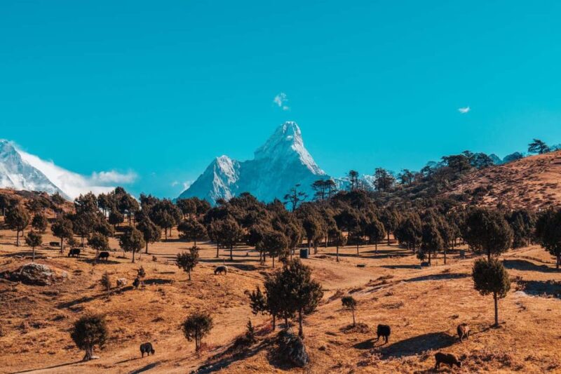 Everest Base Camp - Chola Pass - Gokyo Lake Trek - 17 Days - Preparation and Requirements