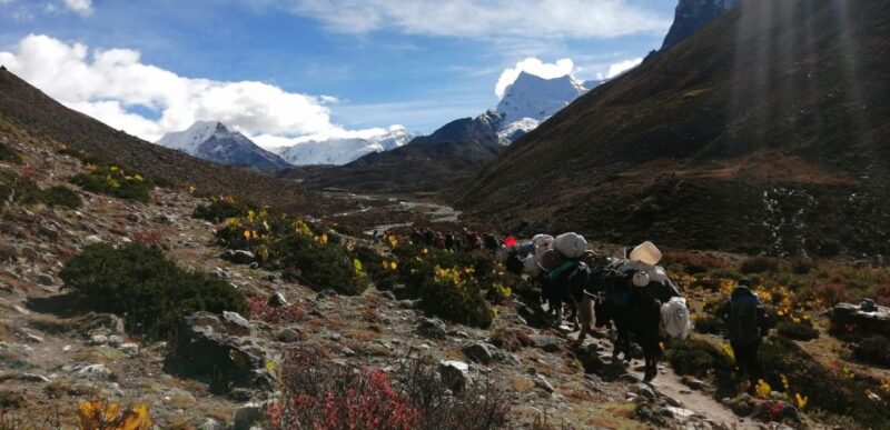 Everest Base Camp Comfort Trek - 18 Days - Itinerary Highlights