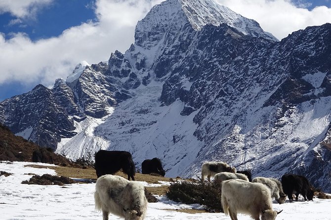 Everest Base Camp Helicopter Tour - Itinerary and Tour Details