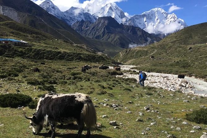 Everest Base Camp Helicopter Tour Stop at Everest View Hotel - Pricing and Booking Information