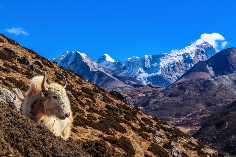 Everest Base Camp Jeep Ride With Helicopter Return - Inclusions and Exclusions