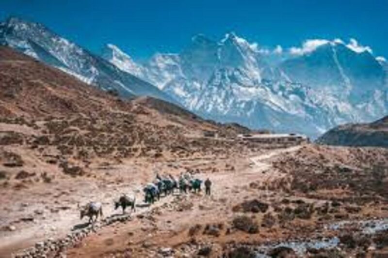 Everest Base Camp & Kala Pattar Trek - 15 Day - Trekking to Base Camp
