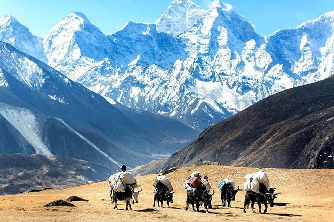 Everest Base Camp Private Heli Tour - Recommended Preparation