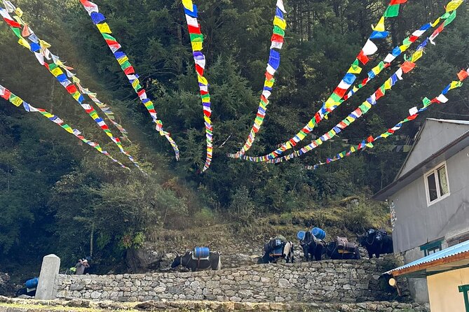 Everest Base Camp Trek - Suitability and Physical Fitness Requirements