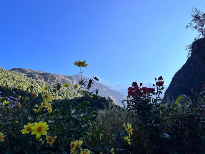 Everest Base Camp Trek 12 Days - Frequently Asked Questions