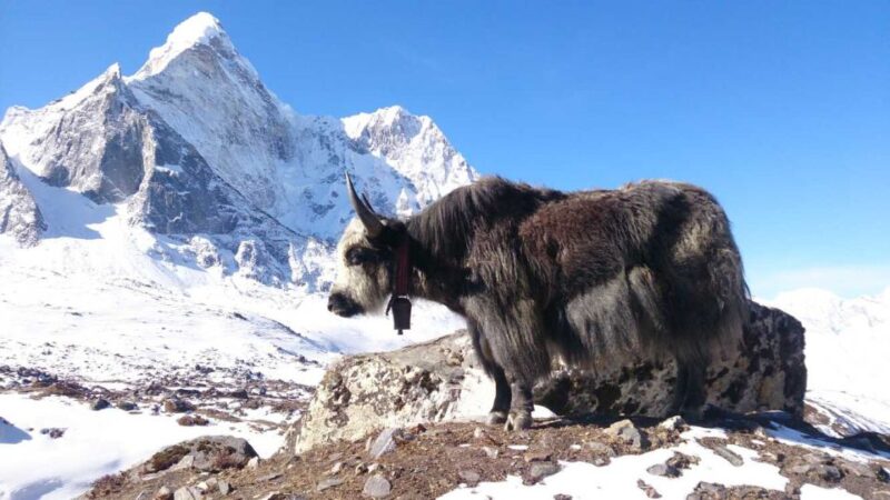 Everest Base Camp Trek - 12 Days - Additional Costs