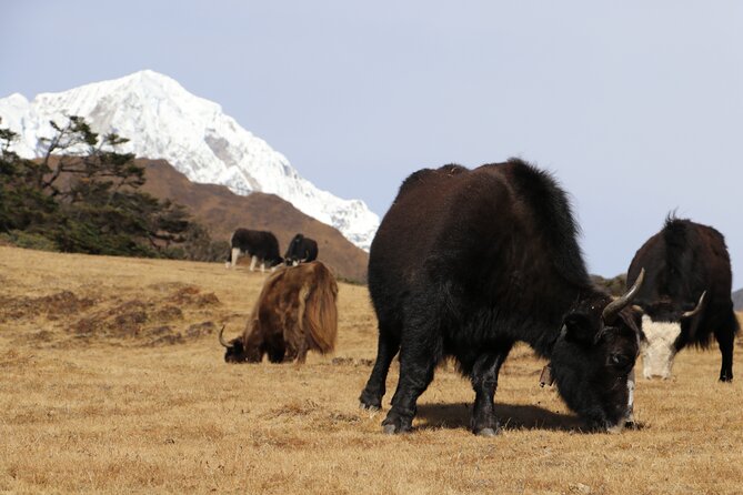 Everest Base Camp Trek 14 Days - Cancellation and Refund Policy