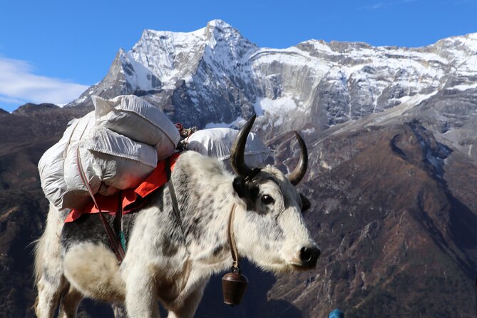 Everest Base Camp Trek 14 Days - Frequently Asked Questions