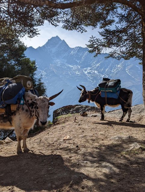 Everest Base Camp Trek - Nepal - Cultural Experiences