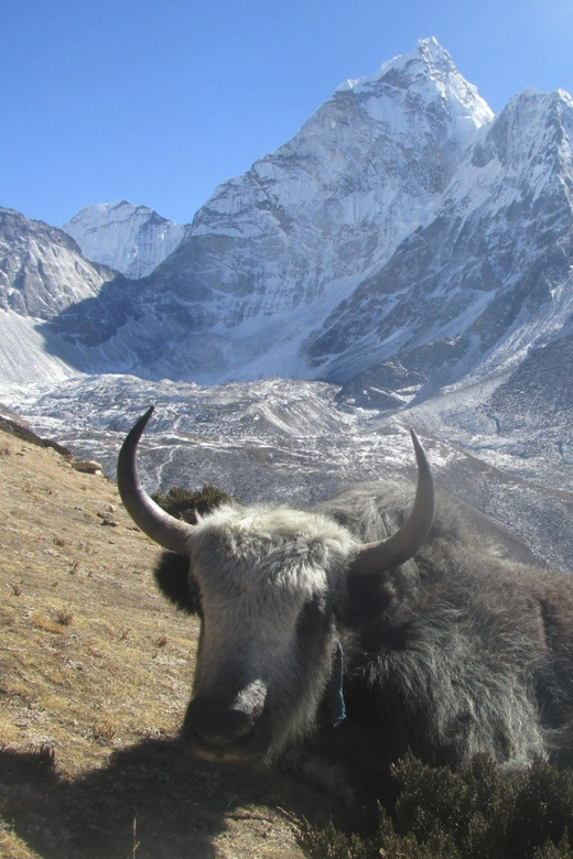 Everest Base Camp Trek Package - Included Services