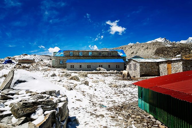 Everest Base Camp Trek With Helicopter Return - 10 Days - Reviews and Feedback