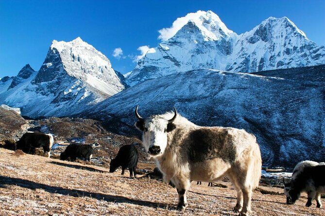 Everest Base Camp Trekking - Starting the Adventure: Kathmandu to Lukla