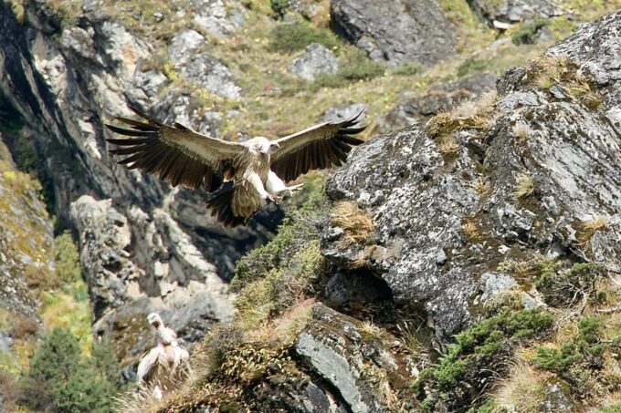 Everest Base Camp With Kalapatthar Guided Trek 12 Days - Cultural Experiences and Activities