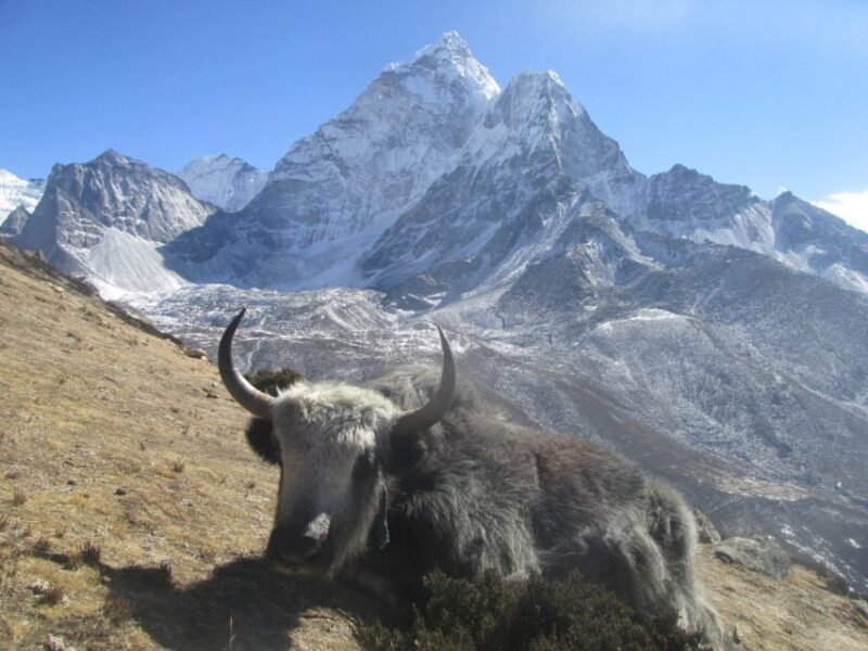 Everest Helicopter Tour 1 Day - Itinerary and Experience