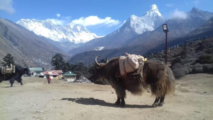 Everest Short Trek - 5 Days - Frequently Asked Questions
