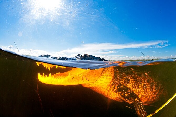 Everglades Admission Ticket With Airboat Ride and Wildlife Show - Recommendations for Visitors