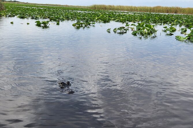 Everglades Airboat Ride and Bus Transfer From Miami Beach - Meeting and Pickup Information