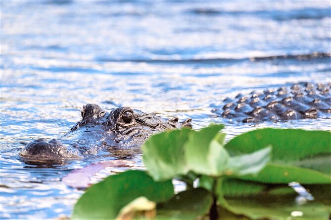 Everglades Airboat Tour in Fort Lauderdale - Inclusions and Exclusions