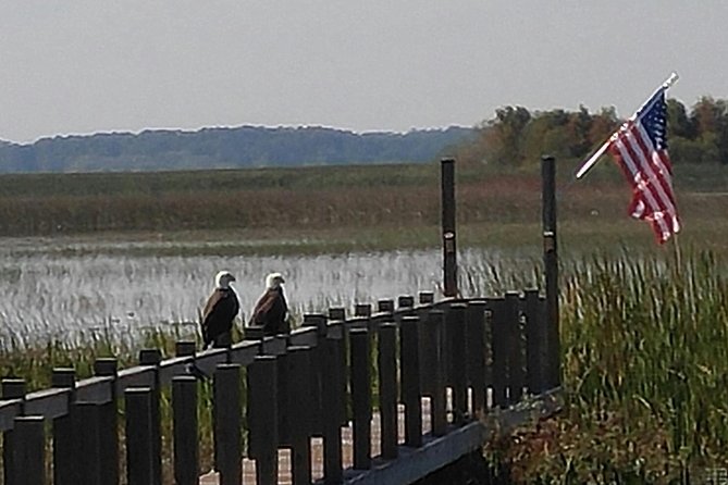 Everglades Airboat Tour Near Orlando Florida - Whats Included