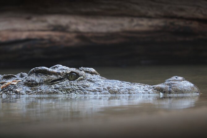 Everglades Airboat Tour With Roundtrip Transportation From Miami - Inclusions of the Tour Package