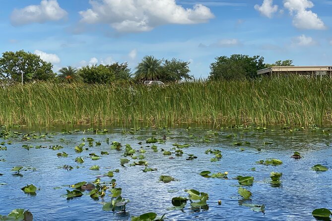 Everglades Airboat Tour With Roundtrip Transportation From Miami - Traveler Reviews and Ratings