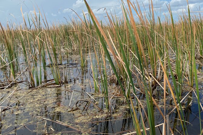 Everglades Airboat Tour With Roundtrip Transportation From Miami - Booking and Cancellation Policies
