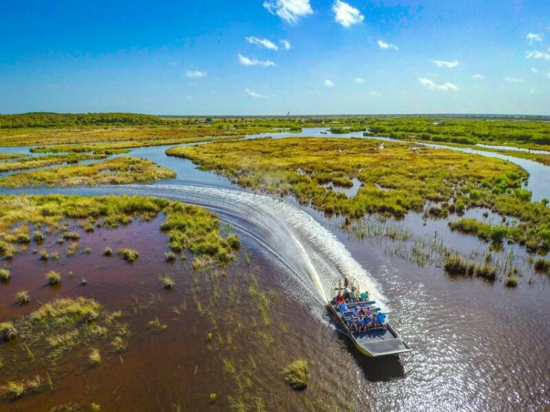 Everglades City: Guided Kayaking Tour and Airboat Ride - Exploring the Everglades: An Overview