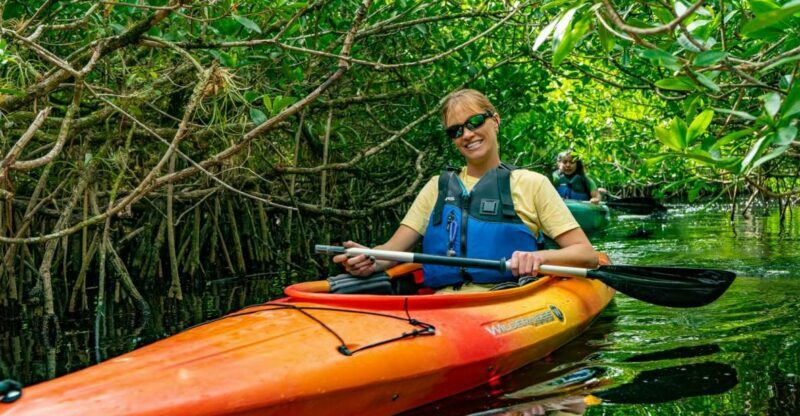 Everglades City: Guided Kayaking Tour and Airboat Ride - Authentic Experiences and Traveler Feedback