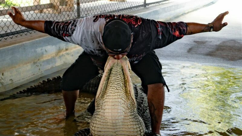 Everglades City: Guided Kayaking Tour and Airboat Ride - FAQs