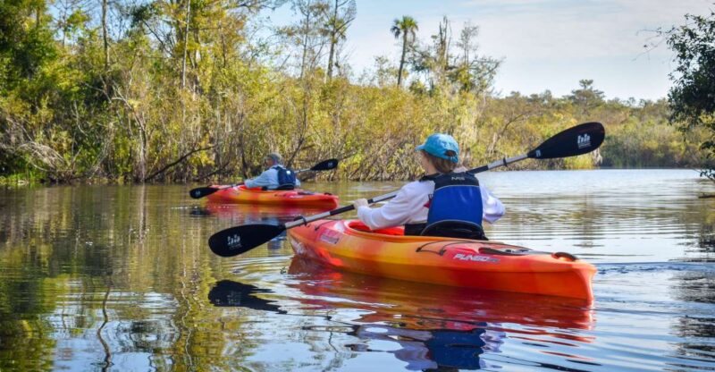 Everglades City: Guided Kayaking Tour of the Wetlands - Key Points