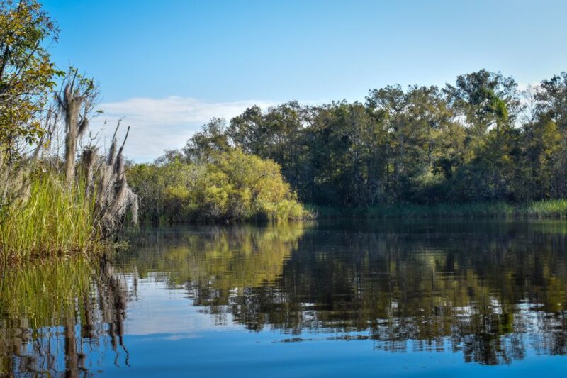 Everglades City: Guided Kayaking Tour of the Wetlands - Know Before You Go