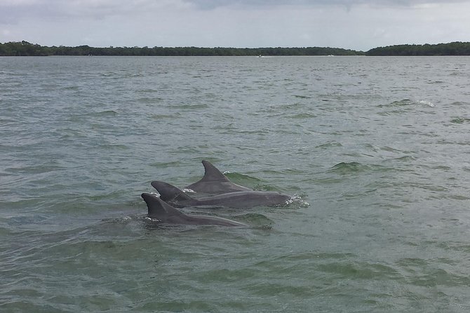 Everglades Day Safari From Fort Myers/Naples Area - Cancellation Policy