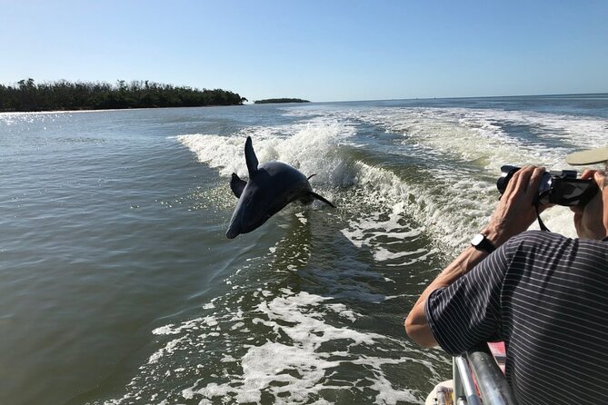 Everglades Day Safari From Ft Lauderdale - Highlights of the Adventure