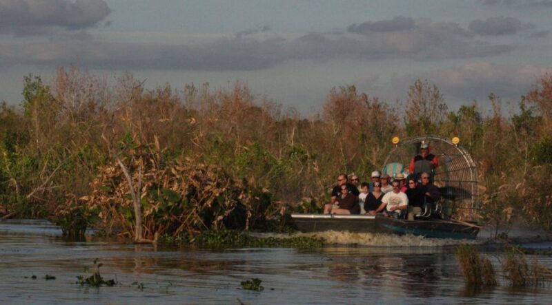 Everglades Day Safari From Sanibel, Fort Myers & Naples - Wildlife Sightings