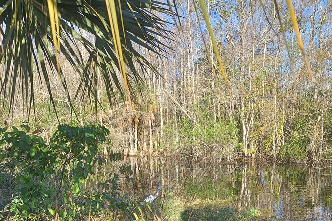 Everglades Eco Airboat Tour With Private Luxury Transportation - Pickup Locations and Times