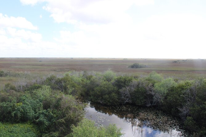 Everglades Eco Airboat Tour With Private Luxury Transportation - Experience Highlights